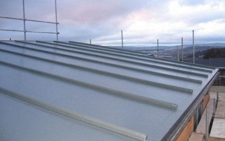 Lead-roll Effect Roof, Nolfolk Park Gleeson Regeneration