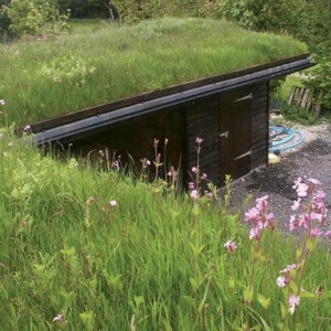 Natural Green Roofing Systems